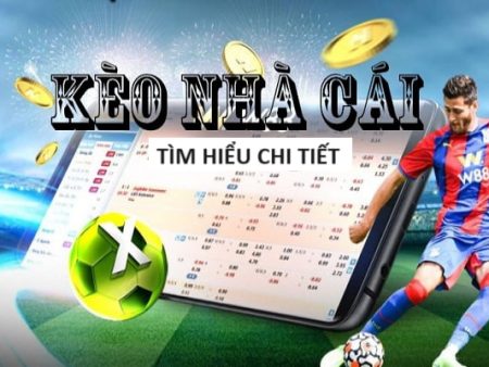 Web Cá Cược – Betting Website Vietnam